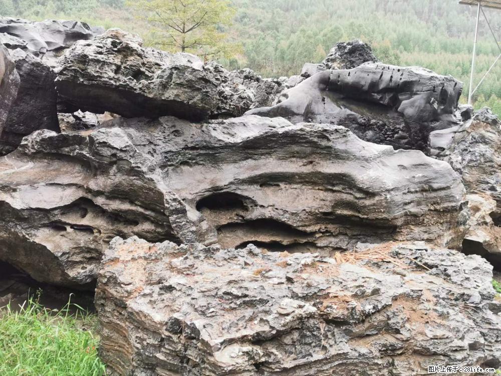 风景石、假山石大量有货，有需要的欢迎联系 - 新手上路 - 吉安生活社区 - 吉安28生活网 ja.28life.net