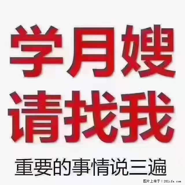 为什么要学习月嫂，育婴师？ - 其他广告 - 广告专区 - 吉安分类信息 - 吉安28生活网 ja.28life.net