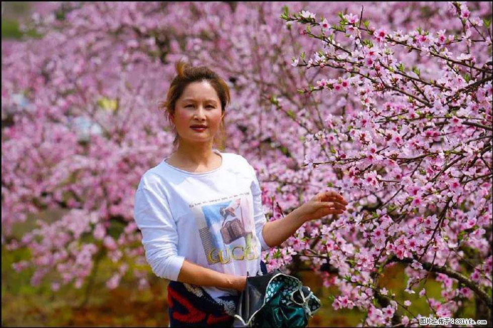 【春天，广西桂林灌阳县向您发出邀请！】官庄村有个醉美的桃花园 - 游山玩水 - 吉安生活社区 - 吉安28生活网 ja.28life.net