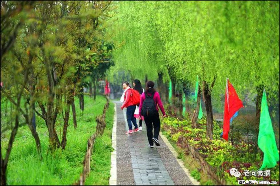 【春天，广西桂林灌阳县向您发出邀请！】江口老街又逢春 - 游山玩水 - 吉安生活社区 - 吉安28生活网 ja.28life.net