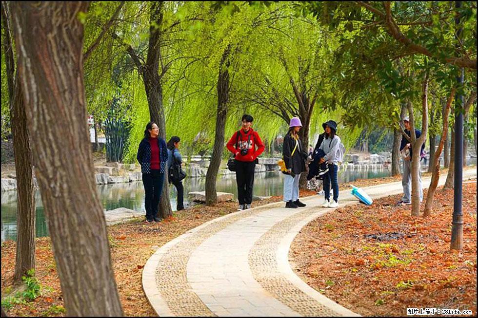 【春天，广西桂林灌阳县向您发出邀请！】江口老街又逢春 - 游山玩水 - 吉安生活社区 - 吉安28生活网 ja.28life.net