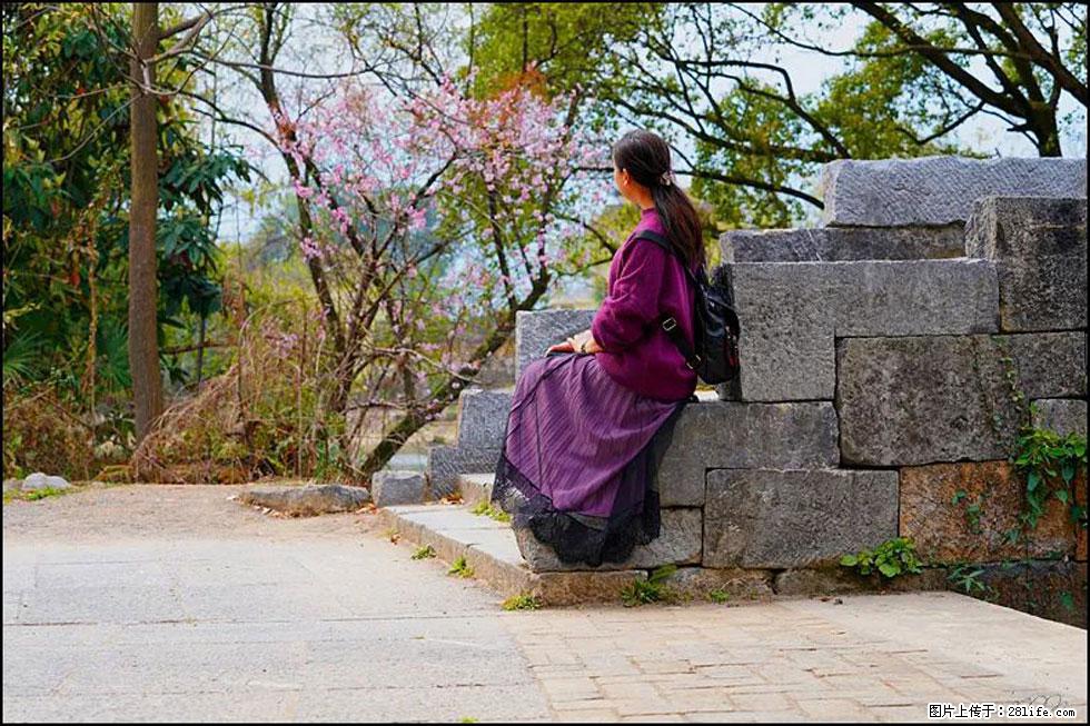 【春天，广西桂林灌阳县向您发出邀请！】江口老街又逢春 - 游山玩水 - 吉安生活社区 - 吉安28生活网 ja.28life.net