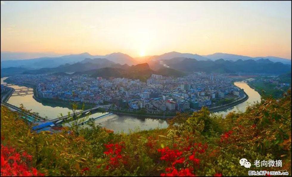 【春天，广西桂林灌阳县向您发出邀请！】登麒麟山，相约映山红 - 游山玩水 - 吉安生活社区 - 吉安28生活网 ja.28life.net
