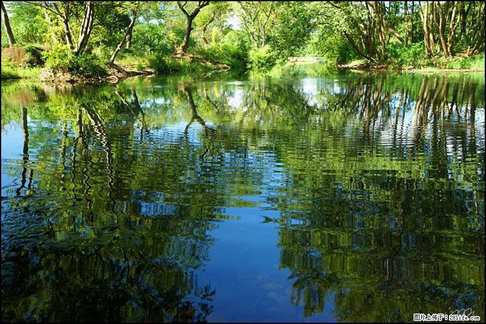 【春天，广西桂林灌阳县向您发出邀请！】熊家寨湿地公园 - 游山玩水 - 吉安生活社区 - 吉安28生活网 ja.28life.net