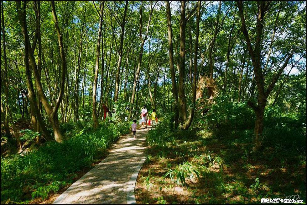 【春天，广西桂林灌阳县向您发出邀请！】熊家寨湿地公园 - 游山玩水 - 吉安生活社区 - 吉安28生活网 ja.28life.net