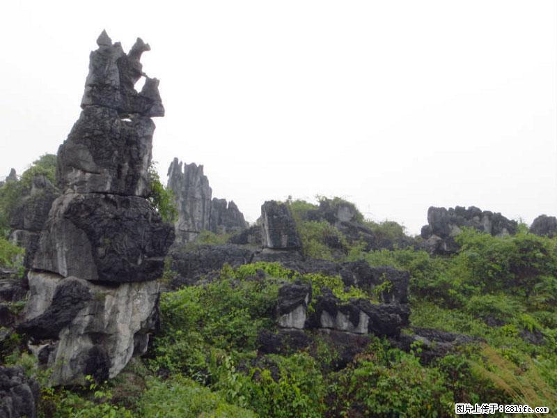 桂林旅游名城景点：灌阳文市石林 - 游山玩水 - 吉安生活社区 - 吉安28生活网 ja.28life.net