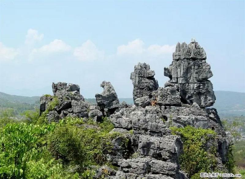 桂林旅游名城景点：灌阳文市石林 - 游山玩水 - 吉安生活社区 - 吉安28生活网 ja.28life.net