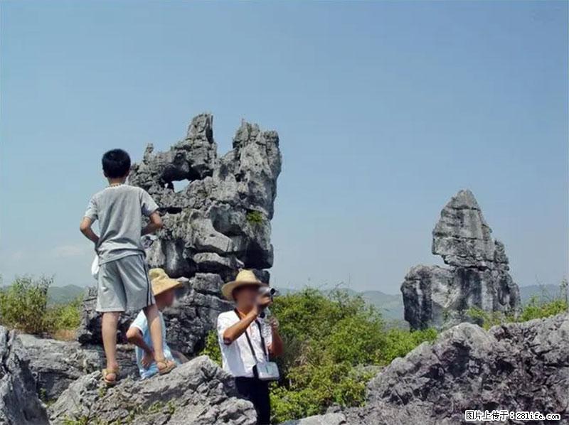 桂林旅游名城景点：灌阳文市石林 - 游山玩水 - 吉安生活社区 - 吉安28生活网 ja.28life.net