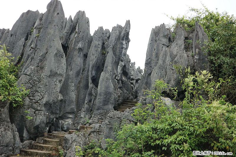 桂林旅游名城景点：灌阳文市石林 - 游山玩水 - 吉安生活社区 - 吉安28生活网 ja.28life.net