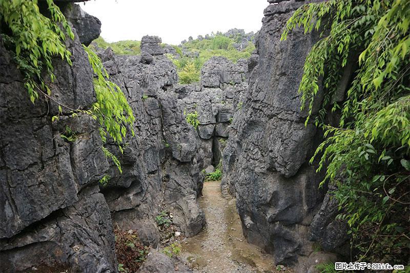 桂林旅游名城景点：灌阳文市石林 - 游山玩水 - 吉安生活社区 - 吉安28生活网 ja.28life.net