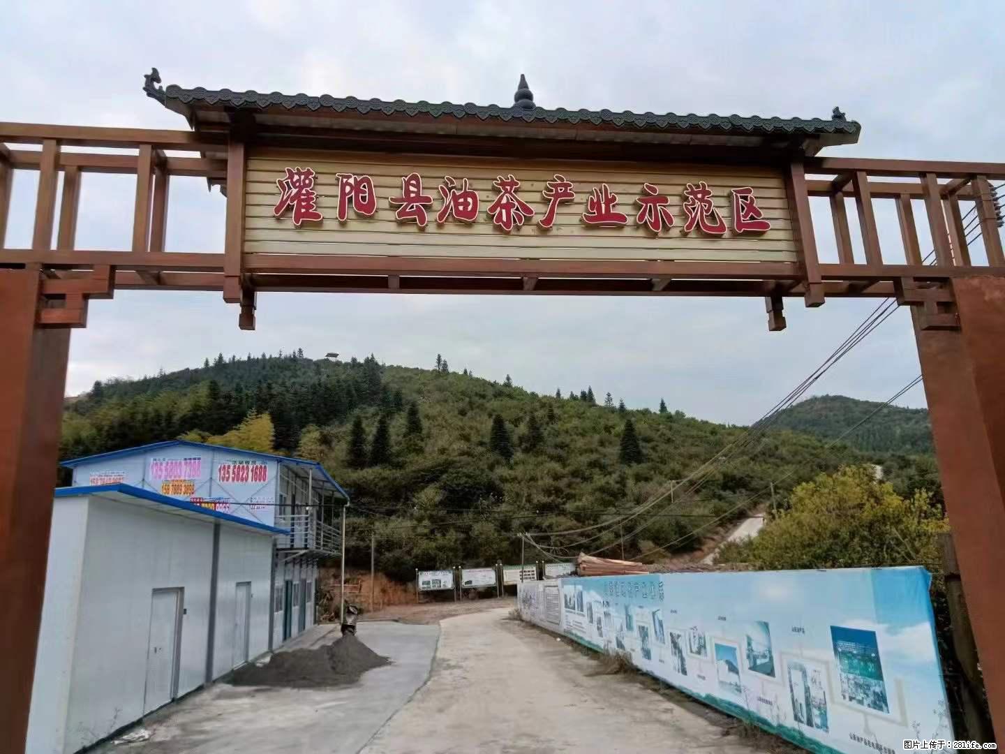 【灌阳县油茶产业示范区】一个有着充实的精神生活的人，对待身外之物自会有一种淡泊的态度 - 美食天地 - 吉安生活社区 - 吉安28生活网 ja.28life.net
