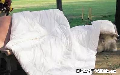 被子有异味？只要这样做，比晒太阳还强100倍！ - 家居生活 - 吉安生活社区 - 吉安28生活网 ja.28life.net