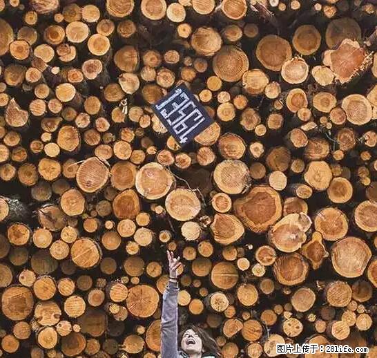 辞掉工作周游世界？现在他们在洗厕所…… - 游山玩水 - 吉安生活社区 - 吉安28生活网 ja.28life.net
