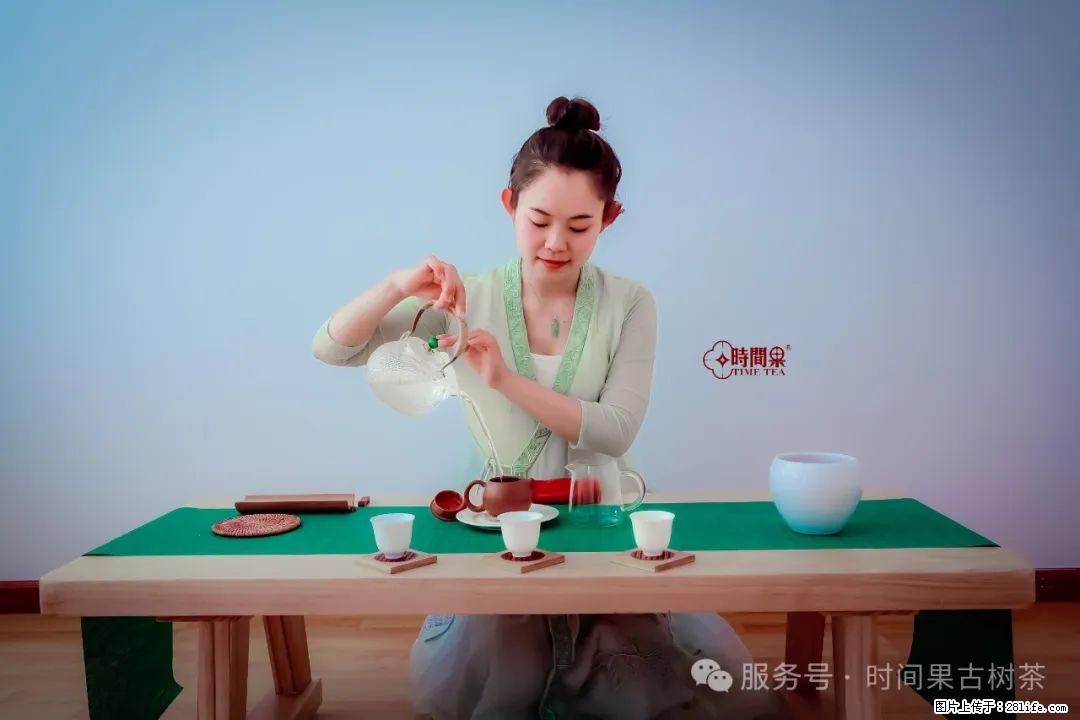 时间果百年古树龙珠普洱生茶 - 购物交流 - 吉安生活社区 - 吉安28生活网 ja.28life.net