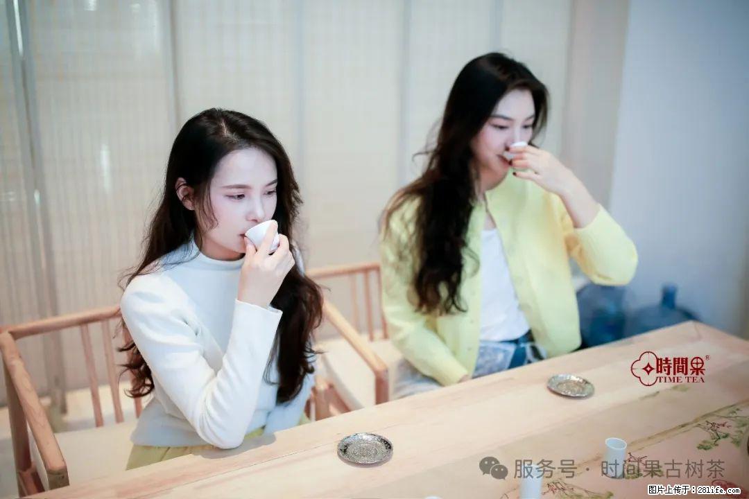 时间果百年古树龙珠普洱生茶 - 购物交流 - 吉安生活社区 - 吉安28生活网 ja.28life.net