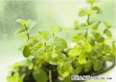晕车、脚气、牙齿变黄、皮肤粗糙？学会这些三分钟搞定！ - 吉安生活资讯 - 吉安28生活网 ja.28life.net