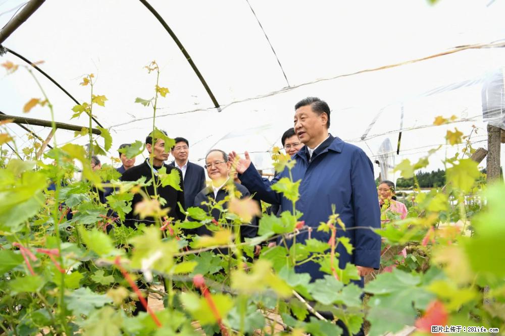 习近平赴广西考察调研 - 吉安生活资讯 - 吉安28生活网 ja.28life.net