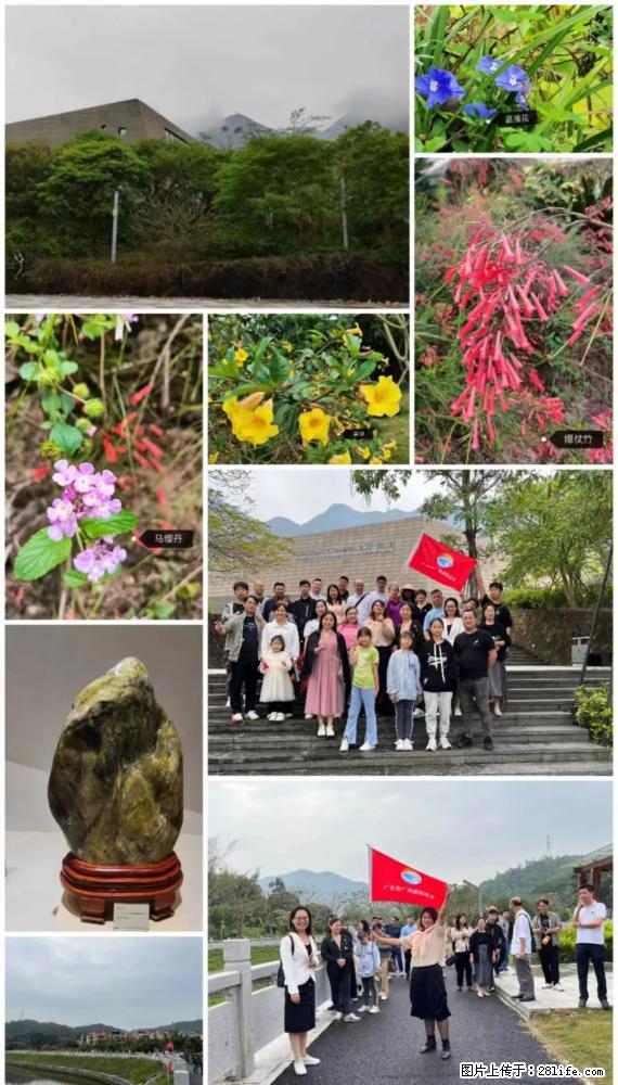 “粤灌文化 美好生活”油茶文化主题活动在广东深圳成功举办 - 吉安生活资讯 - 吉安28生活网 ja.28life.net