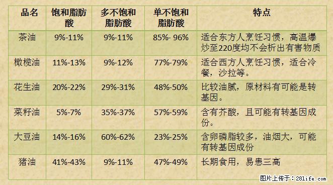 揭秘茶油的5大核心营养成分！被称为人体健康的“守护盾”！ - 吉安生活资讯 - 吉安28生活网 ja.28life.net