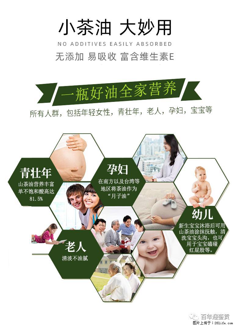 世界没有真相，只有认知，最好的食用油是中国的山茶油！ - 吉安生活资讯 - 吉安28生活网 ja.28life.net