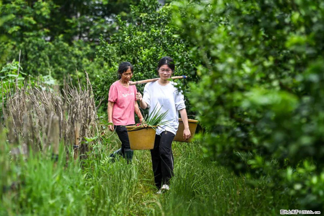 全网追的“扁担女孩”，找了一份暑假工，时薪12元 - 吉安生活资讯 - 吉安28生活网 ja.28life.net
