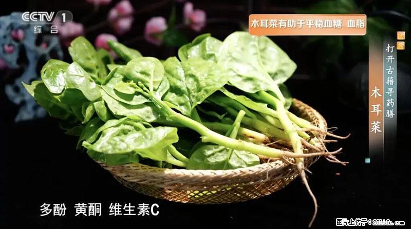 比牛奶补钙还厉害！凉血解毒、稳血糖...这菜冬天必吃，很多人却当草 - 吉安生活资讯 - 吉安28生活网 ja.28life.net