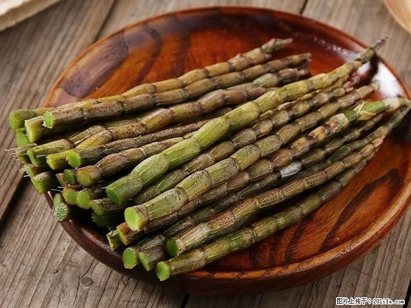铁皮石斛的作用与功能主治 - 吉安生活资讯 - 吉安28生活网 ja.28life.net